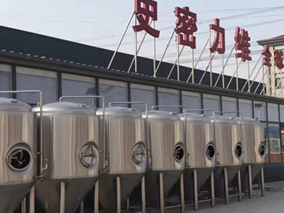 桐梓精酿啤酒设备厂—如何判断精酿啤酒设备的密封件需要更换？